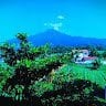 Wahyudiadam