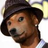 Snoop dogge